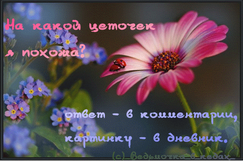  (500x332, 94Kb)