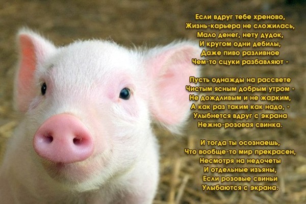  (600x400, 73Kb)