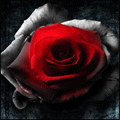  (120x120, 10Kb)