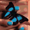 7104695_Animation1.gif (100x100, 110Kb)