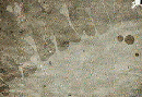 Animation3.gif (130x89, 120Kb)