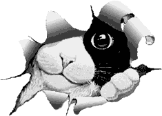 3431924.gif (235x168, 6Kb)