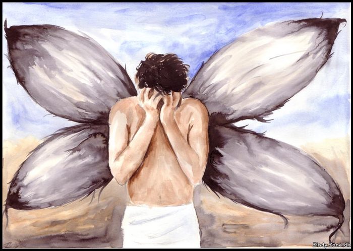 6088781_please_my_wings_x.jpg (700x498, 66Kb)