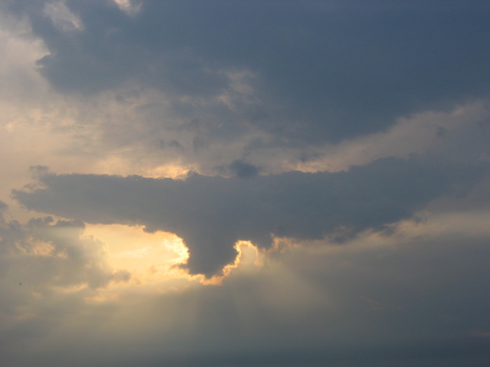 IMG_0001.JPG (700x525, 79Kb)
