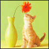 3478243_3416613_3090497_807549_7208091.gif (100x100, 32Kb)