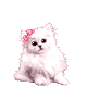 cat4.gif (80x80, 3Kb)