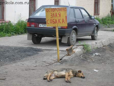 prikols_com_ru_2001054.jpg (448x336, 42Kb)