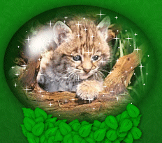  33.gif (232x206, 103Kb)