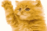 0011.gif (96x65, 3Kb)