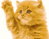 www_bibka_ru_2005120609184.gif (101x80, 4Kb)
