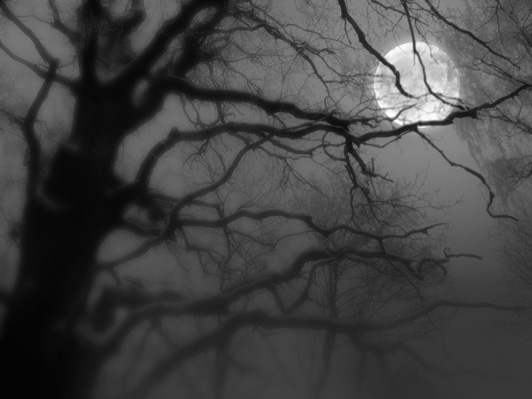 1433369.jpg (532x399, 50Kb)
