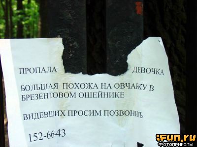 BQ6GzldTQd.jpg (400x300, 20Kb)