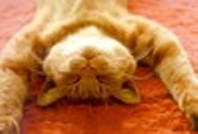 6751002_80.jpg (198x134, 11Kb)