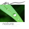 Nature_by_summerday008.gif (100x100, 6Kb)
