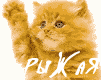 7185232_www_bibka_ru_2005120609184.gif (101x80, 5Kb)