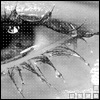 5504867_2084019.jpg (100x100, 5Kb)