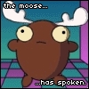 moose6az.jpg (100x100, 11Kb)
