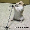 66b17badf96c479fd831d01b4b37bu.gif (100x100, 16Kb)
