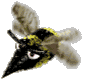 6215[1].gif (87x83, 27Kb)