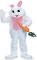 RUB-69002-CaFP3.jpg (37x60, 1Kb)