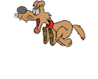 dog0001.gif (141x113, 14Kb)