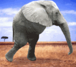 58183_1150375.gif (150x132, 78Kb)