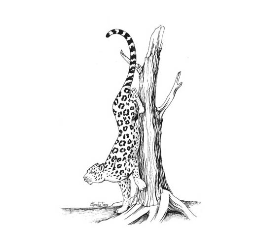 Leopard.jpg (521x504, 27Kb)