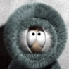 14073_prev_98.jpg (98x98, 3Kb)