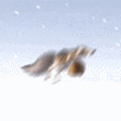 6245062_13733[1].gif (110x110, 23Kb)