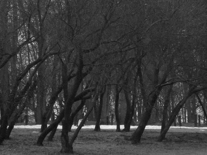  013.jpg (700x525, 98Kb)