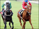 horse racing.jpg (128x95, 4Kb)