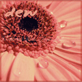 5378067.gif (120x120, 16Kb)