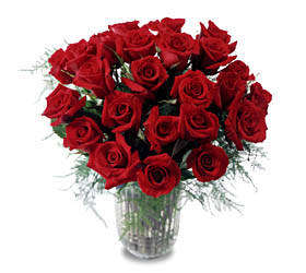 8224 two dozen long stemmed roses.jpg (280x250, 14Kb)