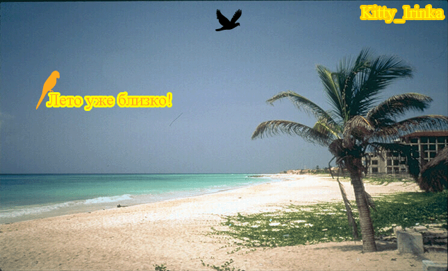 beach copy.gif (645x391, 137Kb)