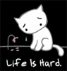 5915423_3415410_848526_89081_Animation6.gif (95x100, 10Kb)