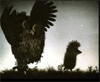 735954_834814_658398.gif (100x82, 68Kb)
