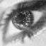 tn_2.gif (65x65, 21Kb)