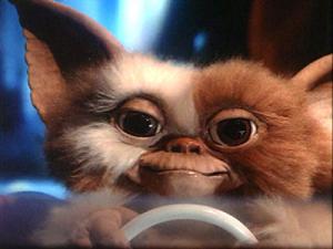 Img.gif (300x225, 11Kb)