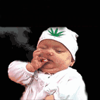 6238133_146015_mothersmilk[1].gif (142x142, 20Kb)