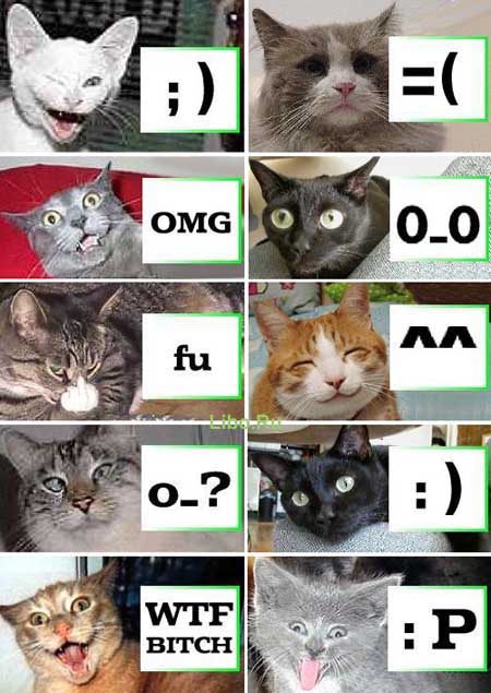  (450x635, 68Kb)