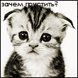  (110x110, 18Kb)