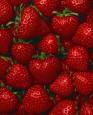 5774035_5348651_strawberries (93x115, 3Kb)