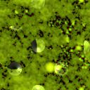 tex_10_55 (128x128, 5Kb)