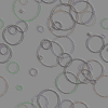 ser29 (100x100, 2Kb)