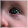 14504_prev_98 (98x98, 3Kb)