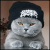brcat (100x100, 11Kb)