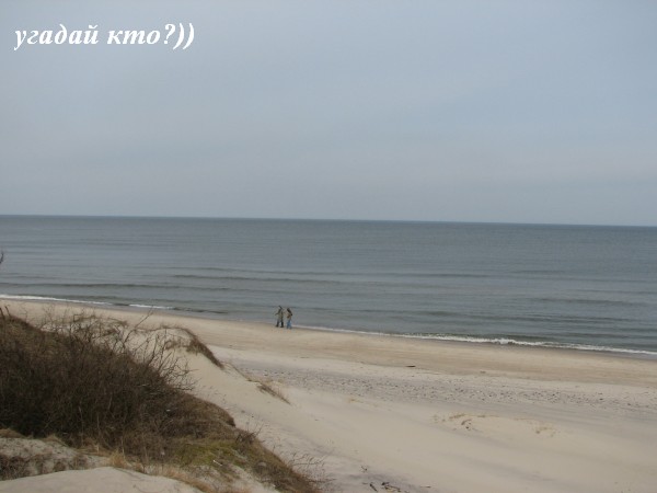  (600x450, 35Kb)