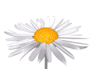 00000198 (133x100, 35Kb)