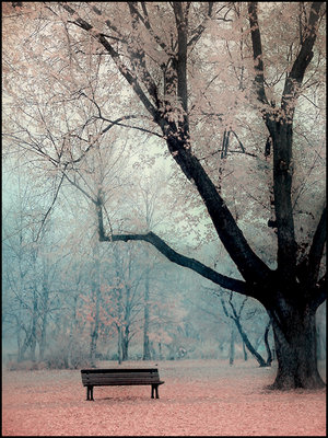 6894179_loosing_colors_by_saligia (300x400, 52Kb)