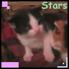 127111_Dance_Kitties_Dance_by_BlueCookieFerret (100x100, 39Kb)